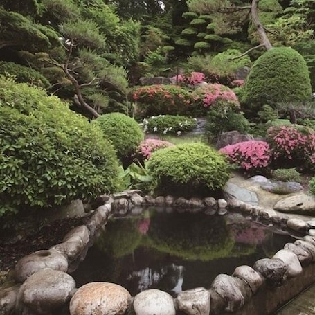Property grounds. Tohoku Onsen