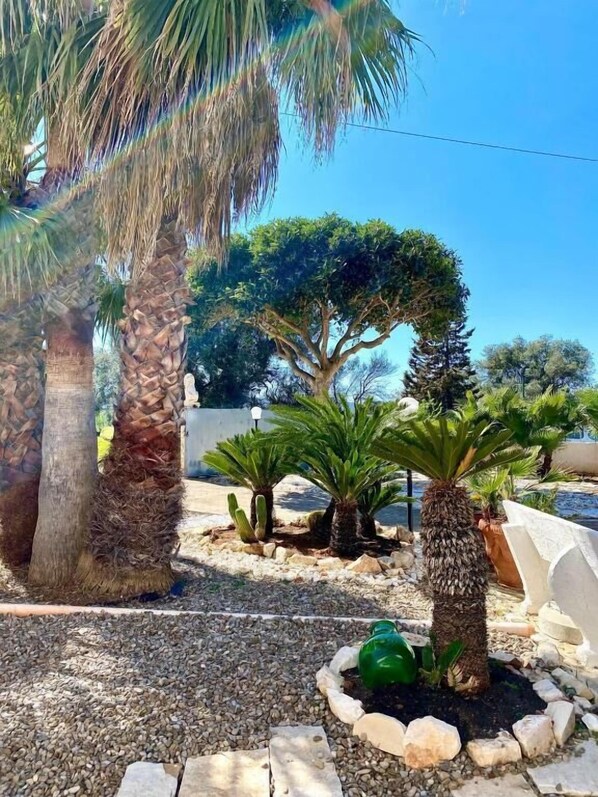 Terrein van de accommodatie