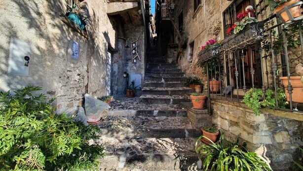 A narrow stone staircase in a courtyard with potted plants and flowers on the sides.