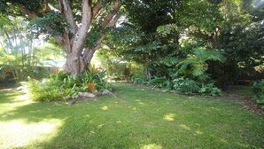 A lush garden with a large tree, various plants, and a well-maintained lawn. - Magnetic Mango Escape (HORSESHOE BAY)