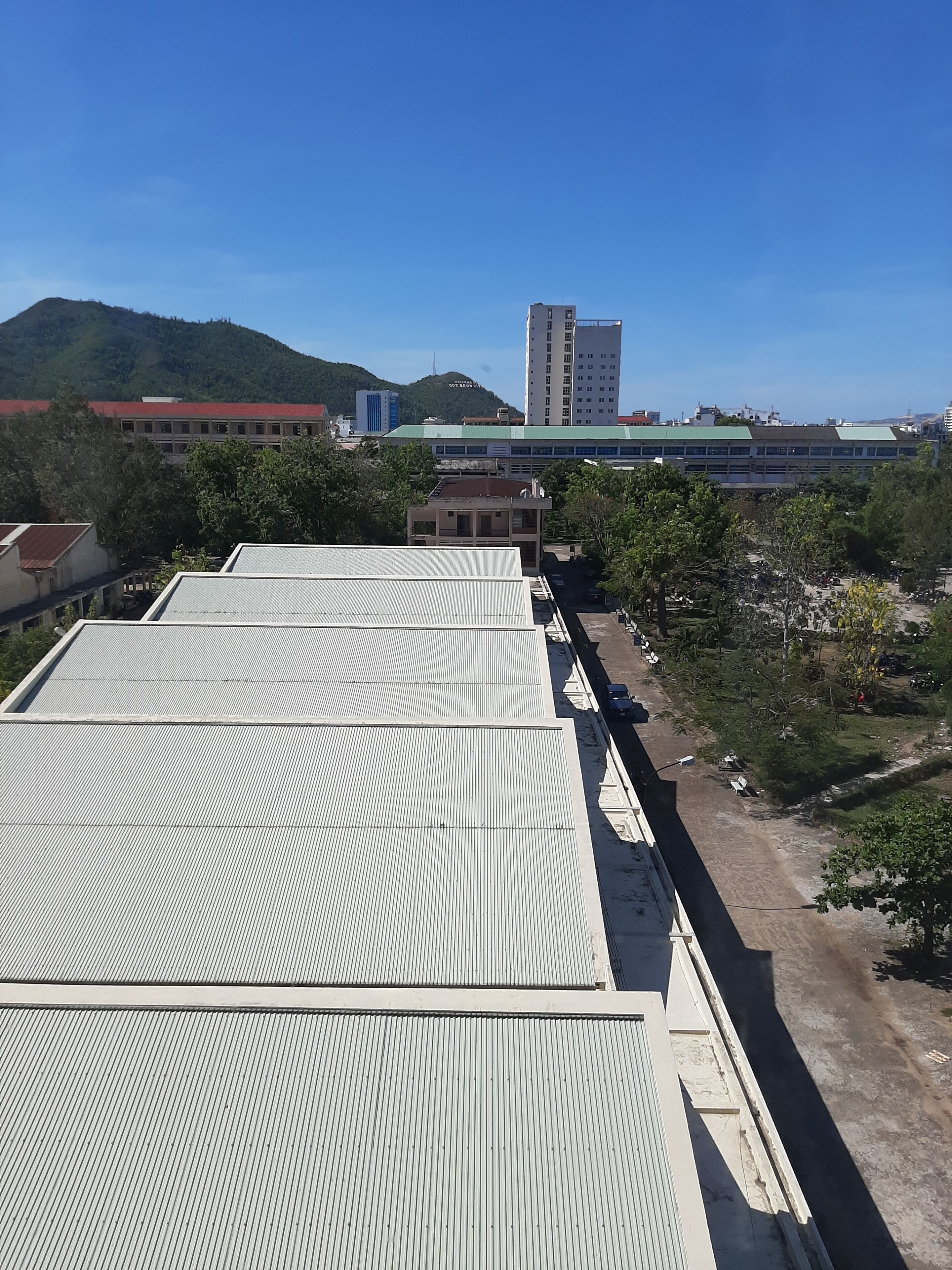 A rooftop with corrugated metal roofing, surrounded by trees and buildings.