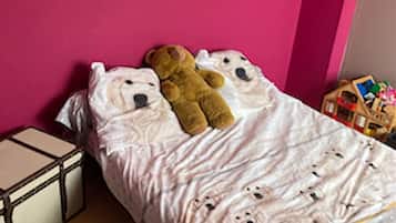 3 chambres, Wi-Fi gratuit