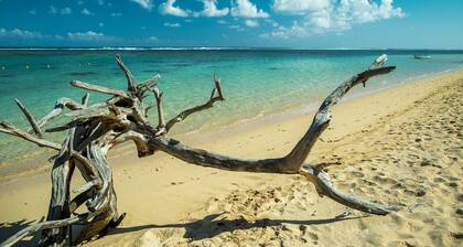 Superb luxury villa in the south of Mauritius