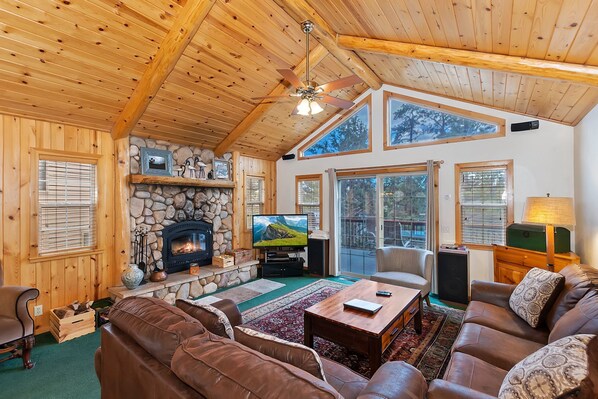 テレビ、暖炉、DVD プレーヤー