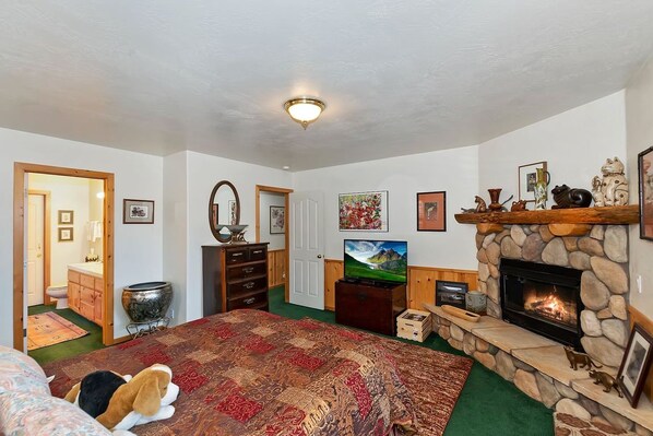 Un dormitorio con una cama grande, una chimenea, un televisor y un perro.