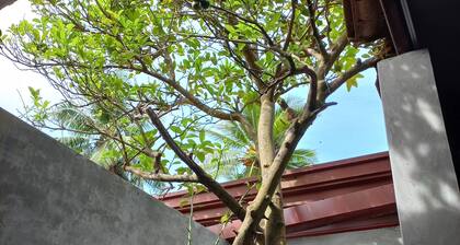 Indra Sisila Villa Bentota