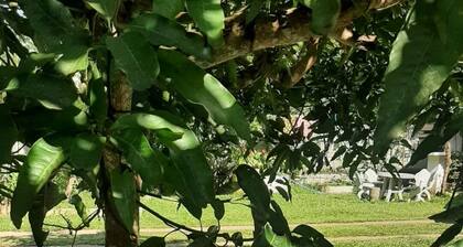 Indra Sisila Villa Bentota