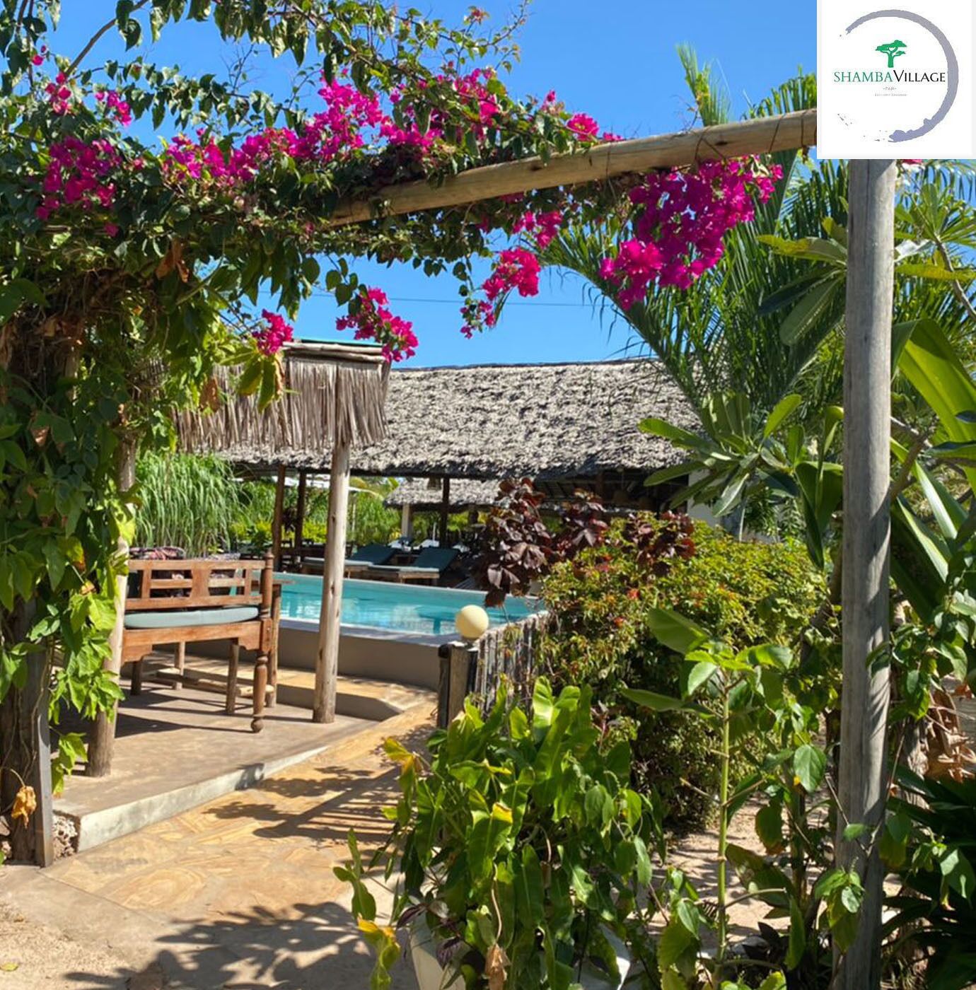 Zona de piscina con un banco de madera, una estructura de techo de paja y flores rosadas vibrantes.