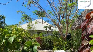 A garden with gravel paths, various plants, and a building with a corrugated metal roof. - Shamba Village Hotel (Paje)