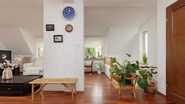 Amplia sala de estar con un banco de madera, una mesa de centro y una planta grande en maceta.