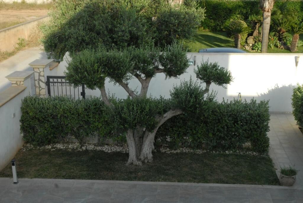 Parco della struttura