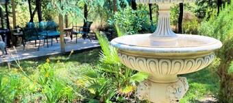 Le Chat Vert - Adults Only apartments