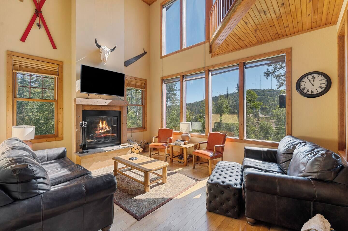 智能电视、壁炉、电子游戏、DVD 播放器