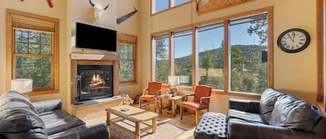 Smart TV, fireplace, video games, DVD player