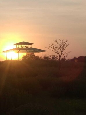 Front of property - Forest Trails Adventure Resort (Bhudargad)