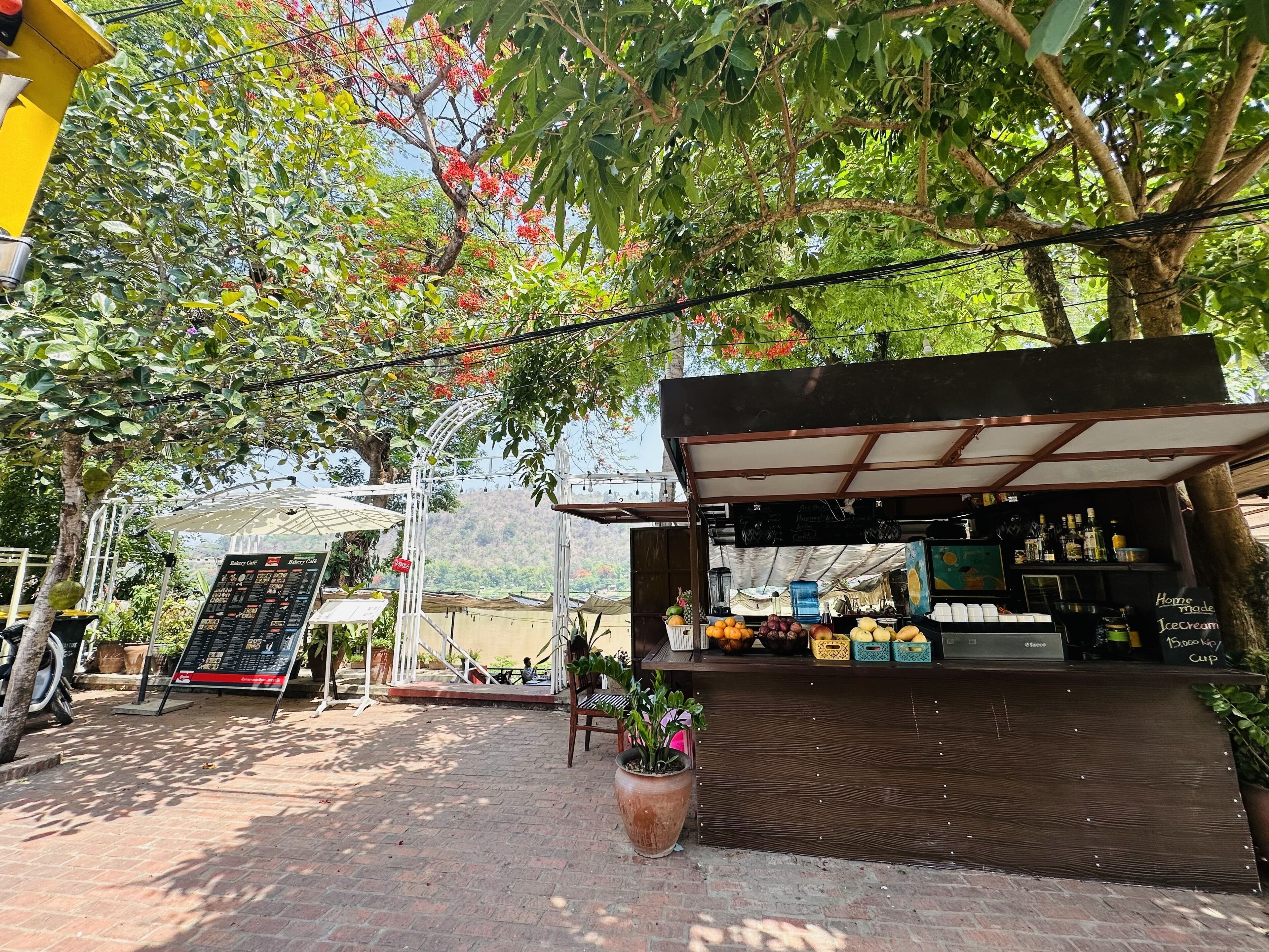 Un café al aire libre con una mesa y sillas de madera, rodeado de abundante vegetación y árboles.