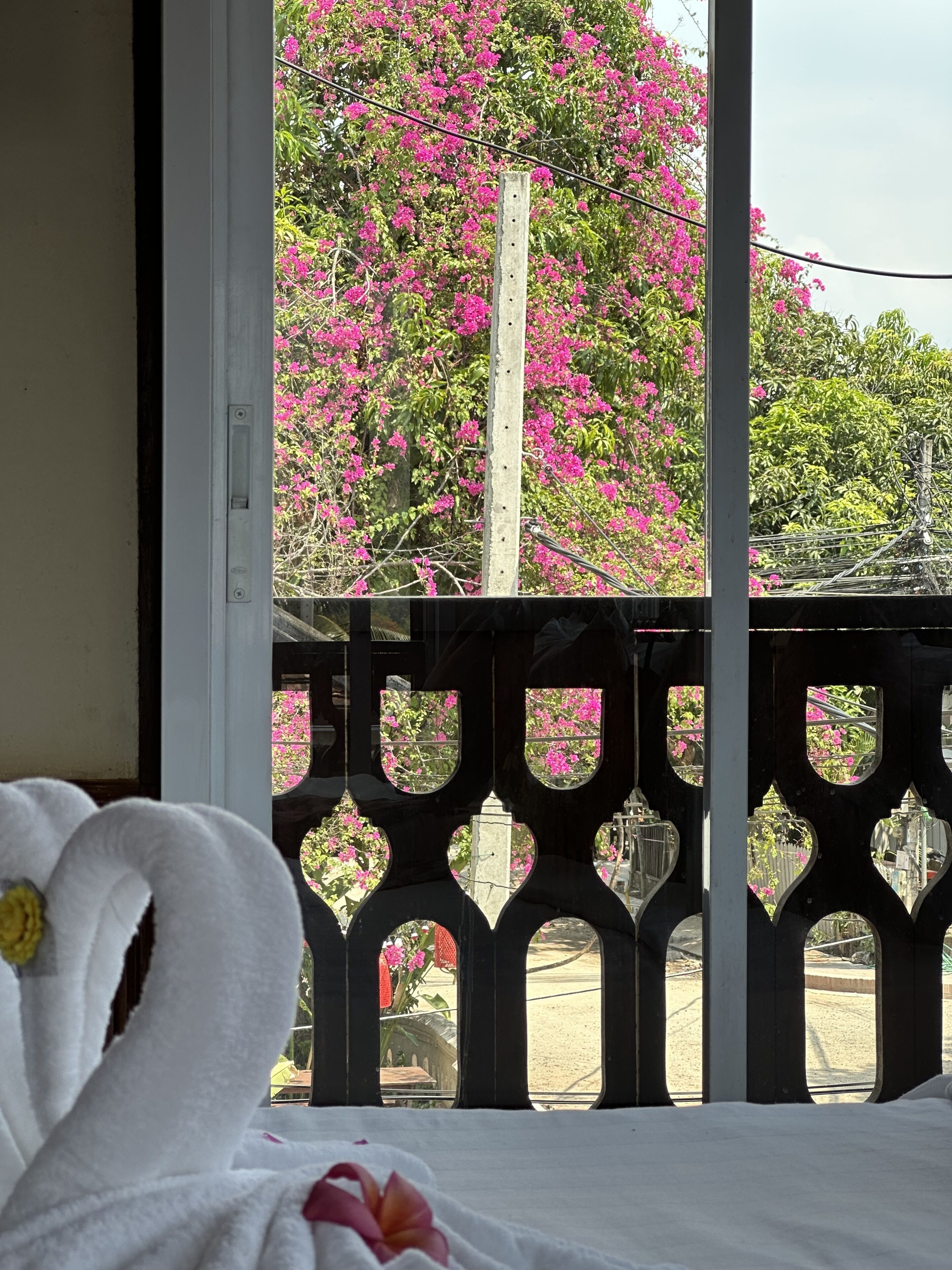 Ein Zimmer mit Blick auf rosa Blumen durch ein Fenster mit schmiedeeisernem Geländer.