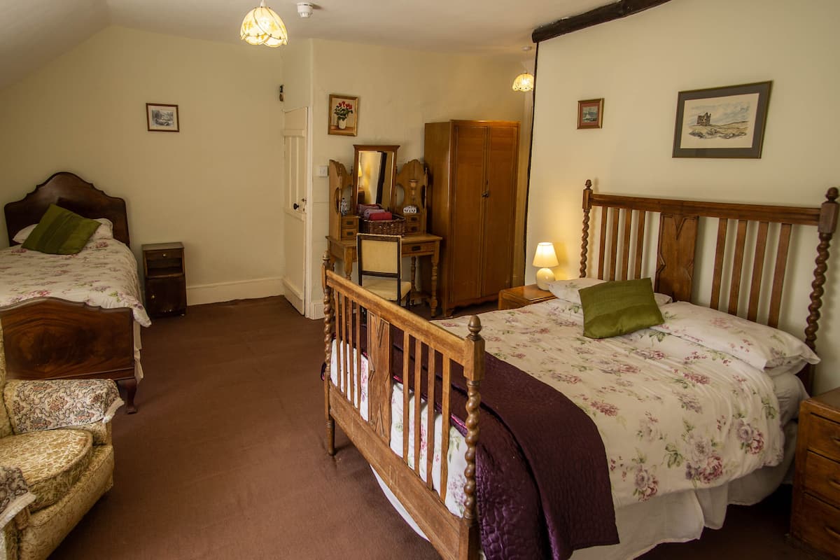 A bedroom with two wooden beds, a chair, a dresser, and a mirror.