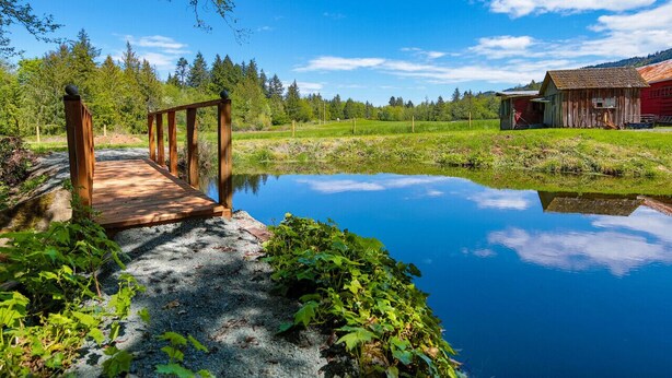 A wooden bridge over a calm pond, surrounded by greenery and a red building in the background. - A pet-friendly, creek side ranch house w/starlink (Port Angeles)
