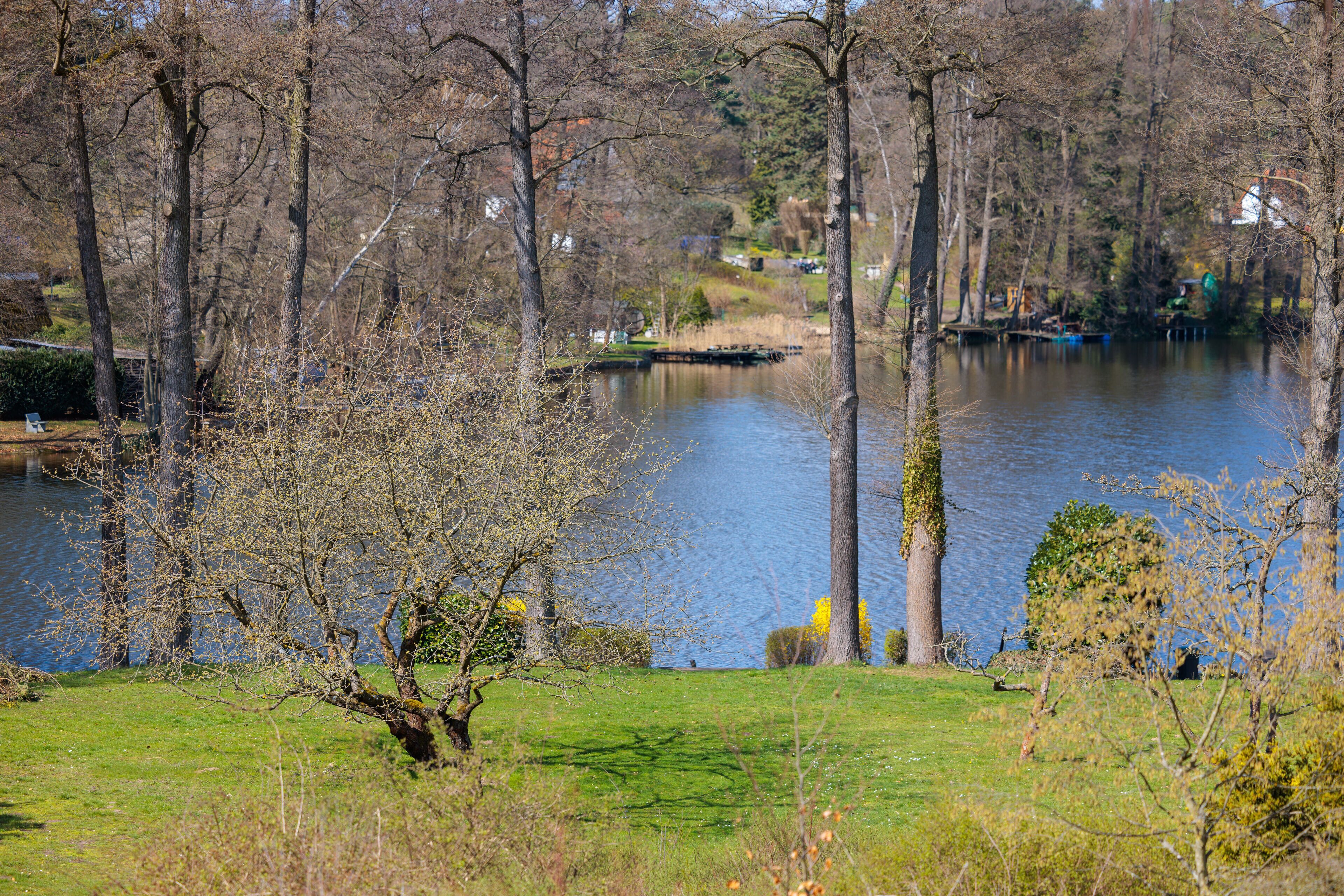 A serene lakeside park with trees and a grassy area.