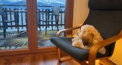 Studio for 4 near ski lift, MELEZES K22