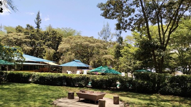 Uma área de jardim com um espaço de estar, um pequeno edifício com telhado azul e uma grande árvore ao fundo.