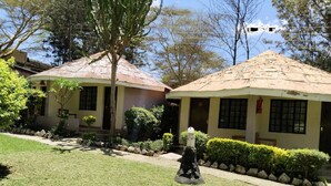 Um edifício com telhado de palha, um pequeno jardim com um caminho e uma árvore em primeiro plano.