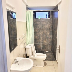 Shower, bidet, towels, soap