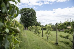 Overnatningsstedets område