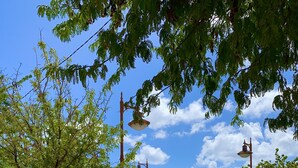 A park with benches, trees, and a view of the sea. - Charming vacation home (Sainte-Anne)