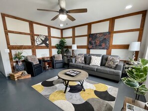 Smart TV, fireplace, books