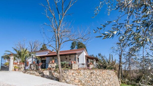 A two-story house with a stone wall, a tiled roof, and a front porch with potted plants.