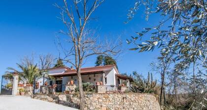 Detached cottage in a park-like garden overlooking the pool
