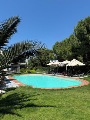 A swimming pool with lounge chairs and umbrellas, surrounded by greenery and a building. - Malta Bodrum (Bodrum)