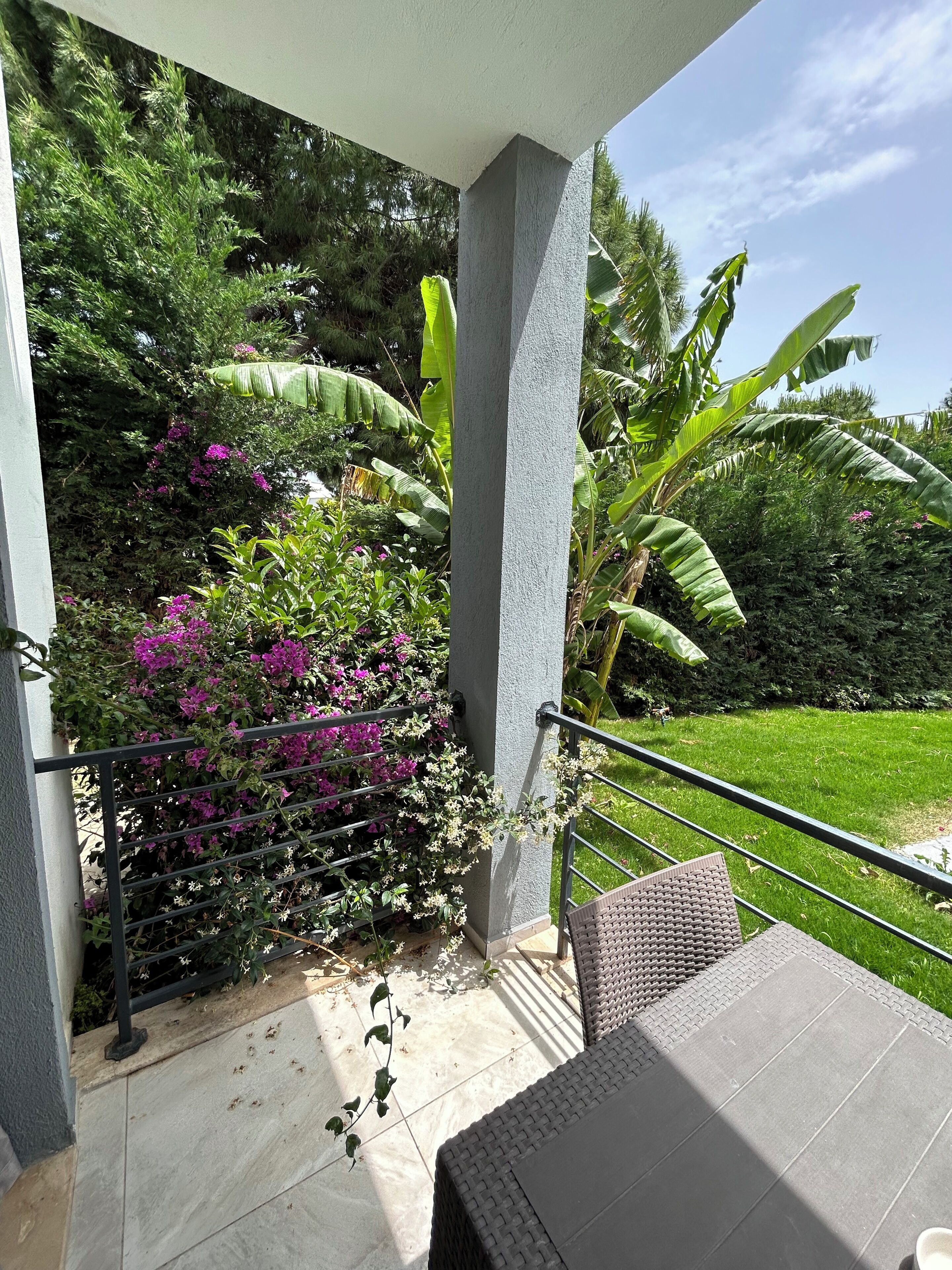 A covered patio area with a table and chairs, surrounded by lush greenery and flowering plants.