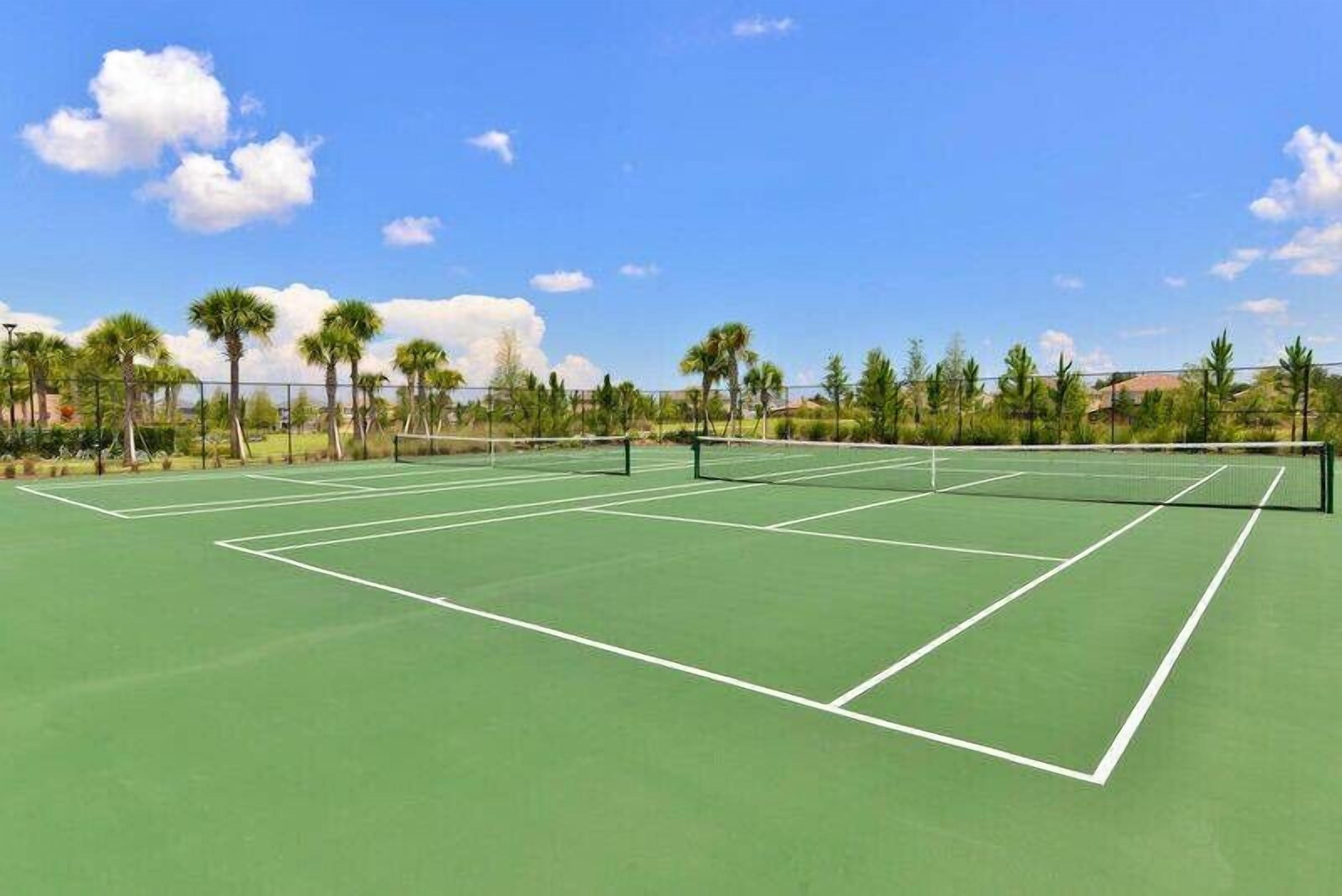 Ein Tennisplatz mit grüner Belag, umgeben von Palmen und blauem Himmel.