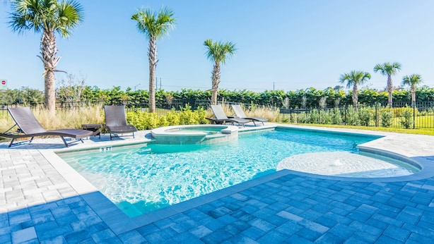 Une piscine avec des chaises longues et des palmiers.