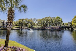 Property grounds - Sunset Rentals | Island Club 126 (Hilton Head Island)