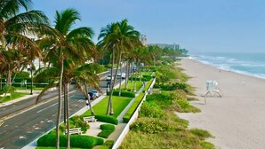 A coastal road lined with palm trees and a beach.