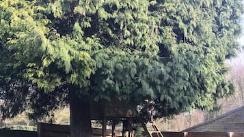 Maison | Enceinte de lâhĂ©bergement