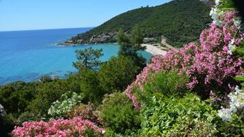 NÀkymÀ rannalle/valtamerelle