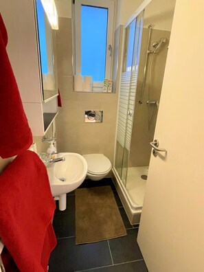 Dusche, Haartrockner, Handtücher, Seife