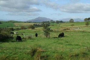 Miscellaneous - Swn Yr Aber - Two Bedroom Cottage, Sleeps 4 (Nebo)