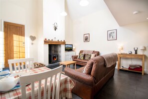 Televisio, DVD-soitin