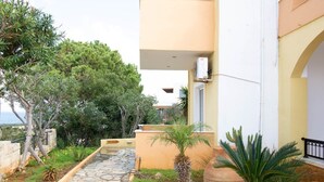 Un patio con un sendero de piedra, una palmera y una maceta grande.