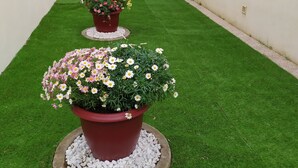 En välklippt gräsmatta med två stora blomkrukor och en häck i bakgrunden.
