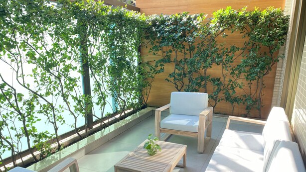 Een zonnig terras met houten meubels en uitzicht op een gevel.
