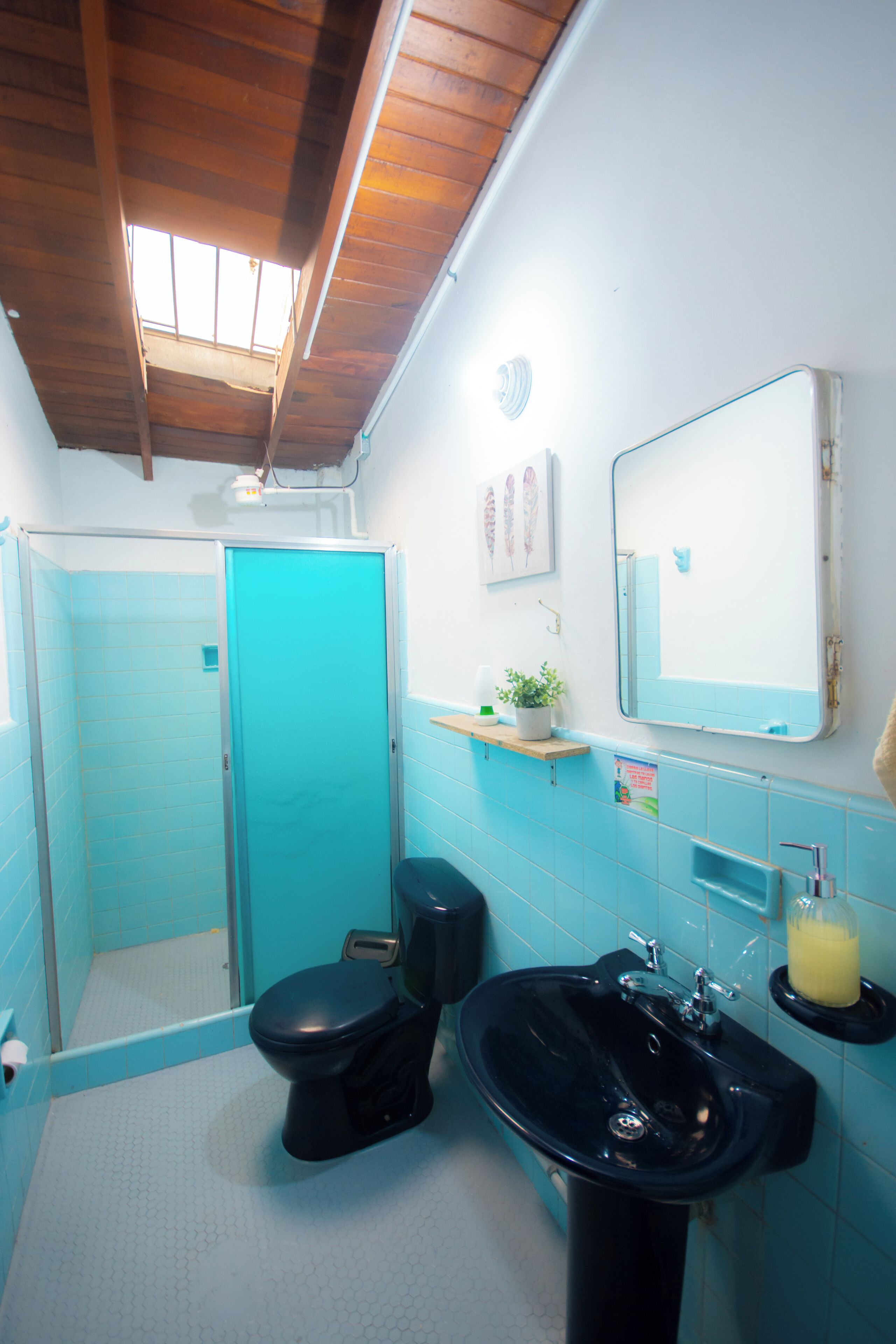 Photo - Spring Hostel