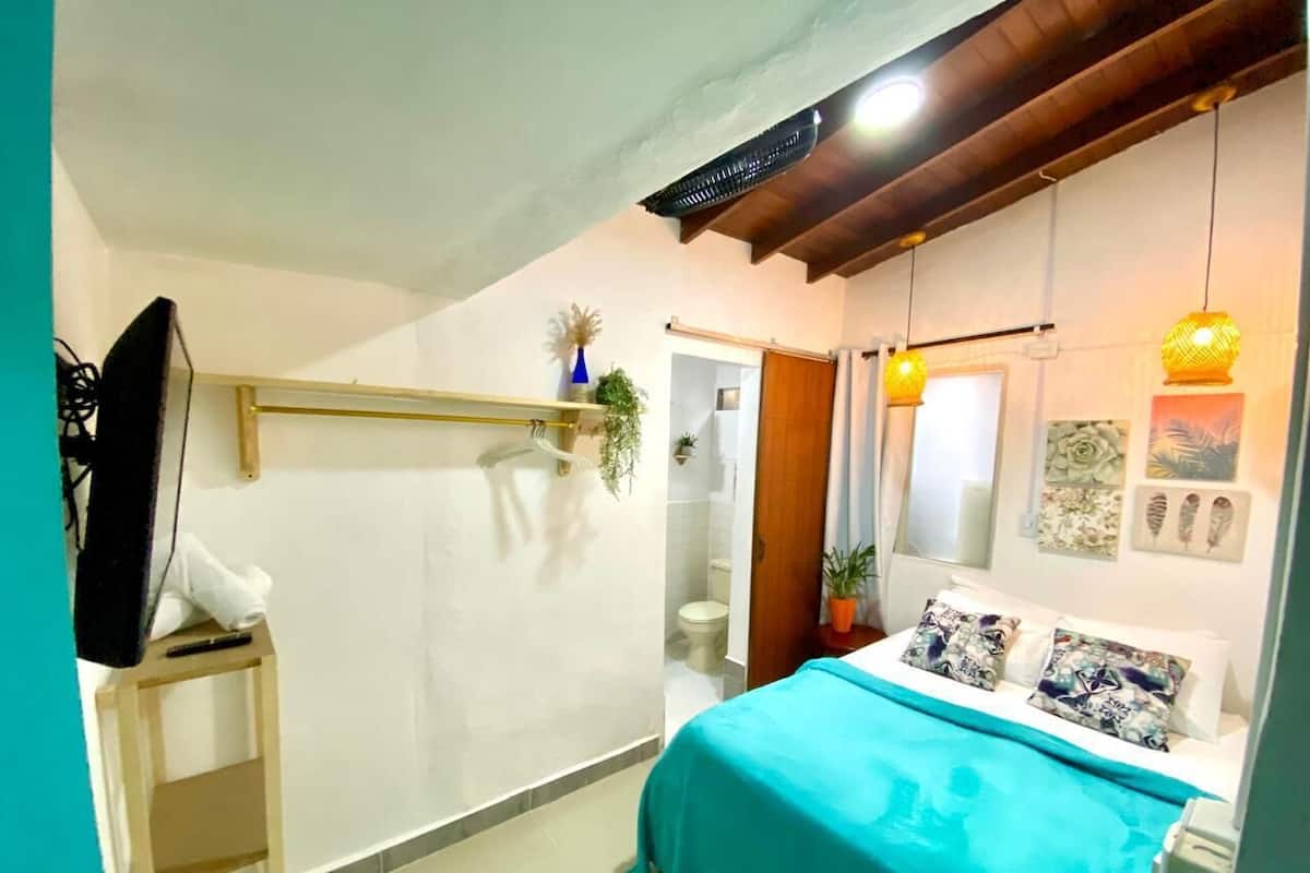 Quarto com cama, televisão em móvel, prateleira com plantas e porta para banheiro.