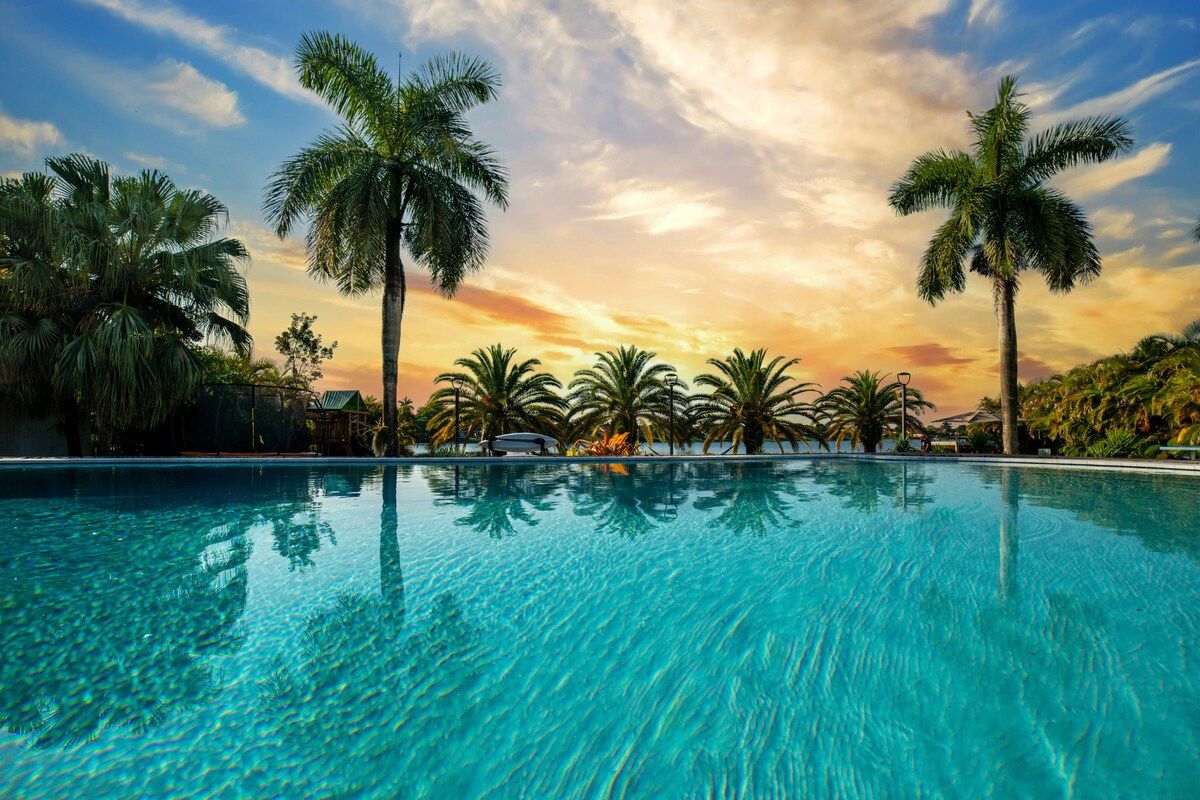 A clear swimming pool with palm trees and a sunset in the background.